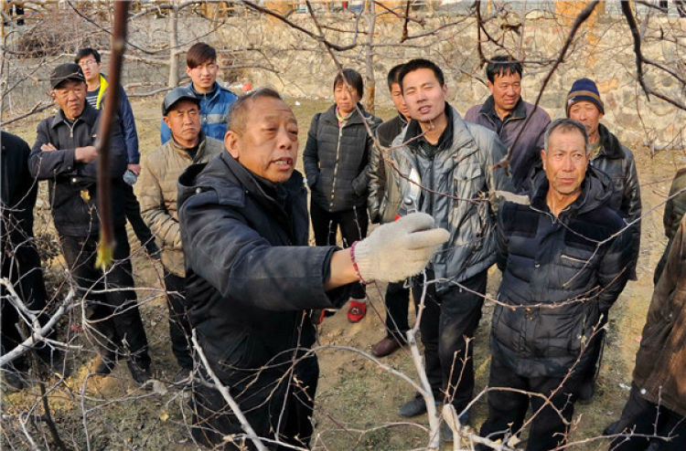 　　李保國(guó)（前左）在河北省內(nèi)丘縣崗底村向村民講解果樹修剪知識(shí)（2016年1月27日攝）。新華社記者 朱旭東 攝